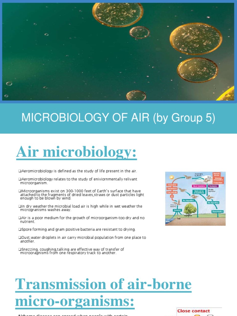 Overview of Air Microbiology | PDF | Fungus | Growth Medium