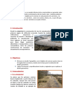 Caminis 1 trabajo.docx