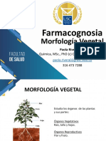 3. Morfología vegetal.pdf