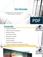 Shotcrete Vía Húmeda - PPT.pdf