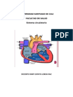 Cardiovascula y Respiratorio 2019