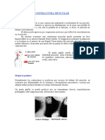 Contractura muscular: causas, síntomas y tratamiento con fisioterapia