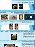 Taller Identificacion Macros