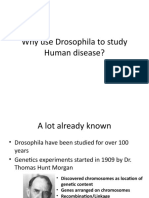 Why Use Drosophila To Study Human Disease?