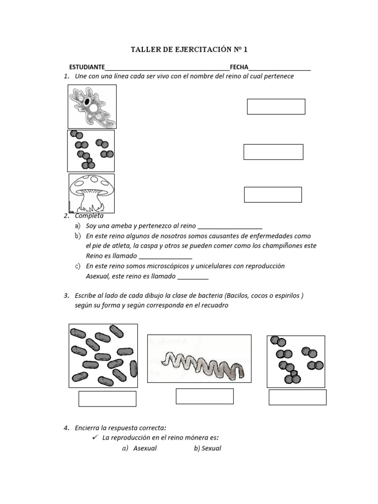 Naturales 3 | PDF | Ciencia y matemáticas