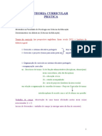 TEORIA CURRICULAR APONTAMENTOS PRÁTICAS