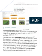 GUIA 3 DE NATURALES pdf.pdf
