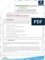 Causas y Consecuencias Del Medio Ambiente