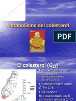 colesterol2.pdf