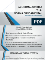 LA NORMA JURÍDICA Y LA NORMA CONSTITUCIONAL (1)