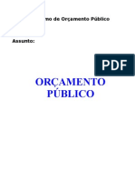 Orçamento Público