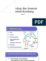 Embriologi Dan Anatomi Tumbuh Kembang F