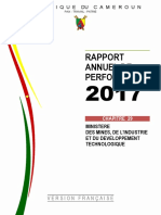 Rapport Annuel de Performance 2017 Minmidt PDF