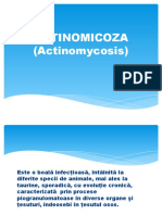 Actinomicoza