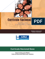 CNB Ciclo Educación Básica Por Madurez PDF