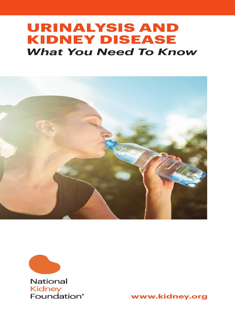 Urinalysis and Kidney Disease: What You Need To Know | PDF | Renal ...