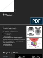 Curs Prostata 2018