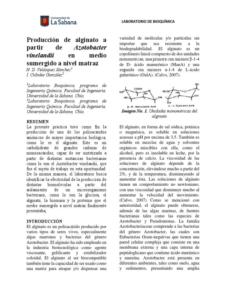 Laboratorio No 7 Azotobacter Vinelandii | PDF | Las bacterias ...