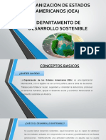 Organización de Estados Americanos (Oea)