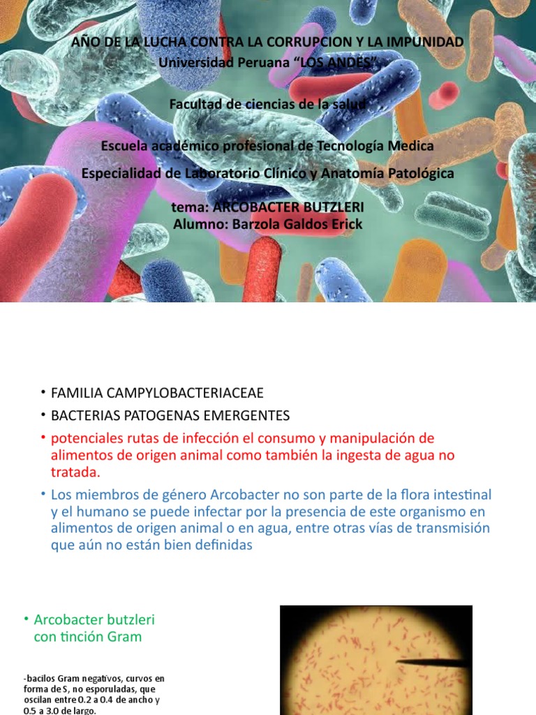 Arcobacter Butzleri | PDF | Diarrea | Las bacterias