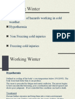 Working in winter and its hazards.ppt