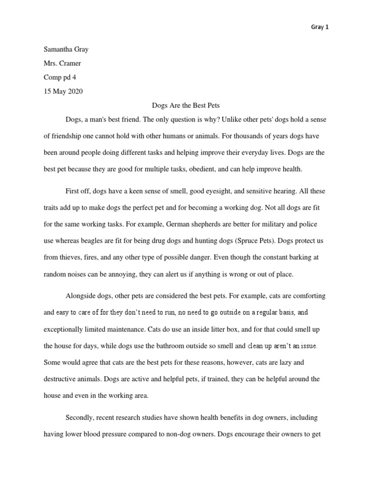 Dogs Are The Best Pets Argumentative Essay | PDF | Dogs | Pet