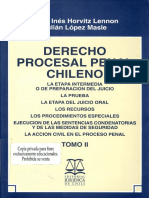 María Inés Horvitz y Julián Lopez - Derecho Procesal Penal Chileno - Tomo II 