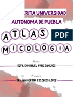 Atlas de Micologia II