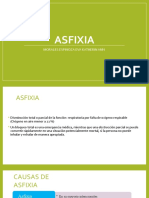 Asfixia Expo