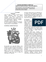 Guia Sistema Circulatorio Humano PDF