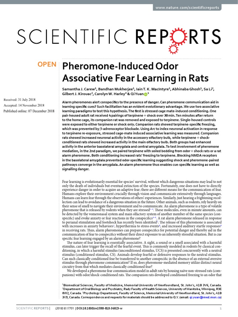 Pheromone-Induced Odor Associative Fear Learning in Rats | PDF ...