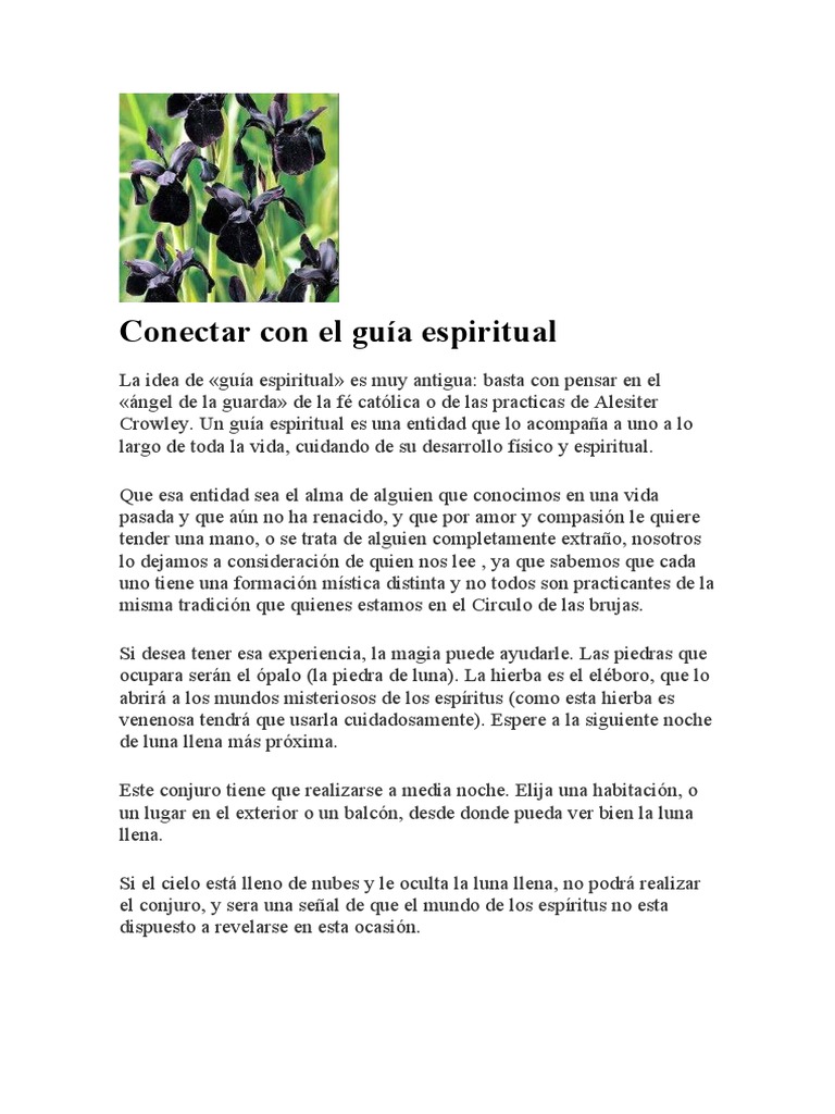 Conectar Con El Guía Espiritual | Descargar gratis PDF | Alma | Amor