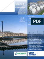 Informe Dimensionamiento de Alternativas PDF