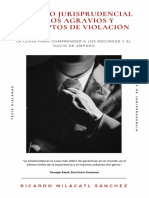 CONCEPTOS DE VIOLACIÓN.pdf