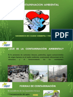 Contaminación ambiental: causas y formas