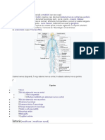 Neurologia