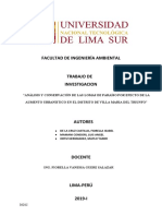 Proyecto - Lomas de Paraiso Final