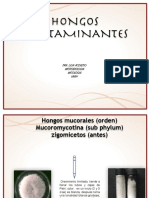 HONGOS CONTAMINANTES Completo 2019