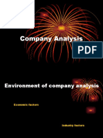 Company Analysis