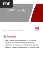 ODA062002 IGMP Principle ISSUE1.01