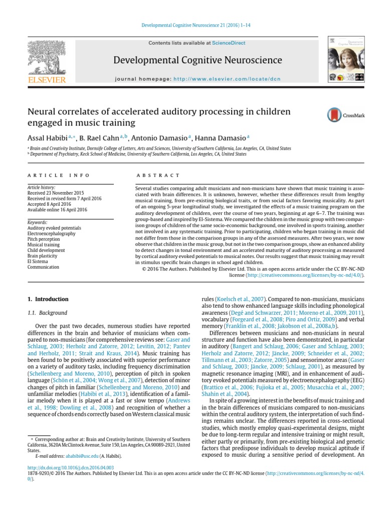 Neural Correlates of Accelerated Processing in Children Engaged in ...