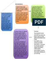 Mapa Cognitivo Org - Socioeconomicas