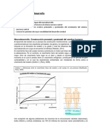 Neurodesarrollo PDF