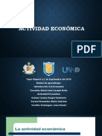 Actividad Economica