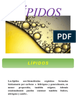 Lipidos Estructura y Funcion