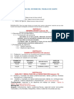 ESTRUCTURA-DEL-INFORME-DEL-TRABAJO-DE-CAMPO