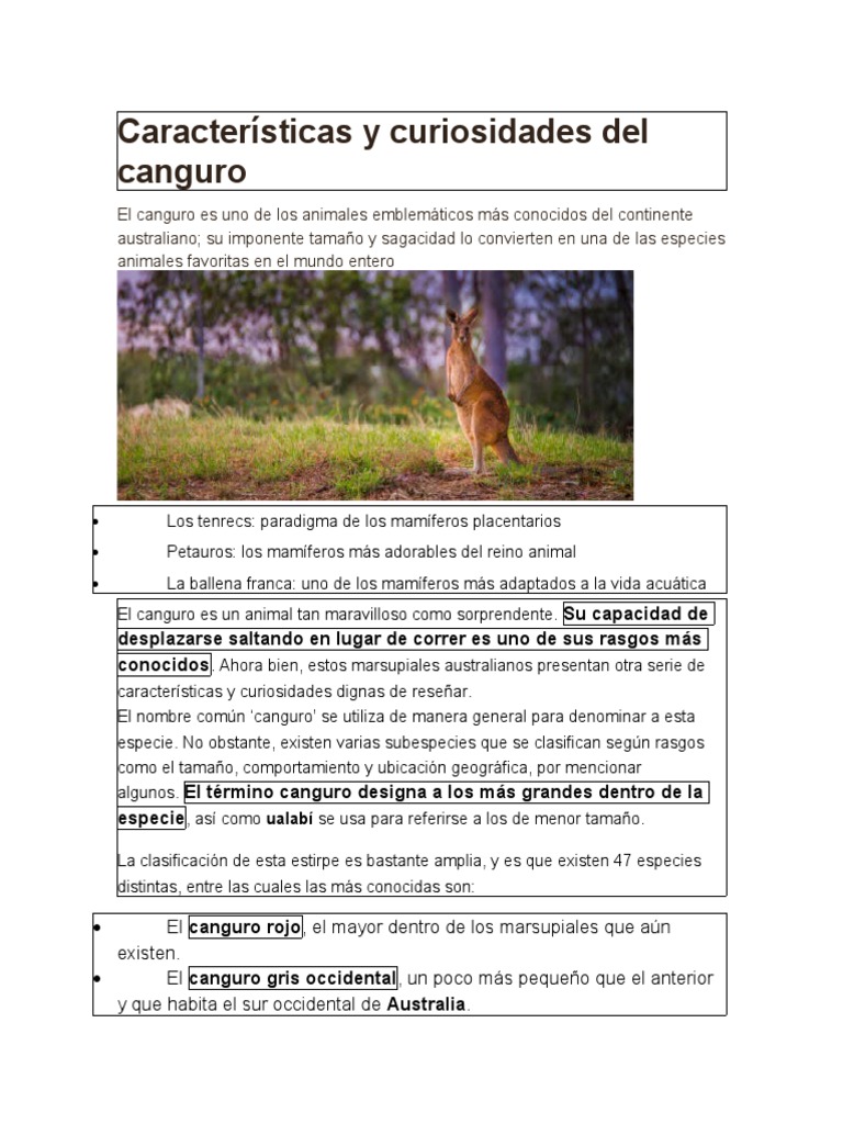 Características Del Canguro | PDF | Mamíferos | Organismos
