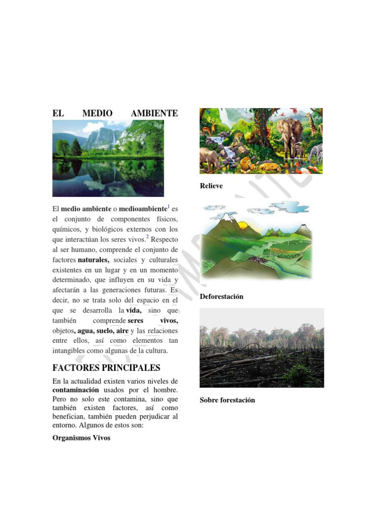 Importancia del Medio Ambiente y su Cuidado | PDF | Entorno natural | Vida