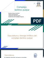 Complejo Dentino-Pulpar PDF