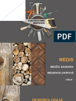 Medžio Sandara Medienos Įvairovė PDF
